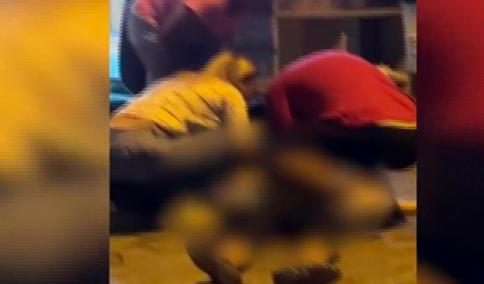 Asesinan a mujer en el “pasaje de la salsa”: crimen ocurrió cerca de la Dirincri del Callao
