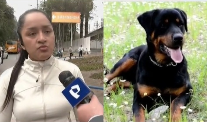 Madre de niño desfigurado por perro exige prisión preventiva para dueña del can