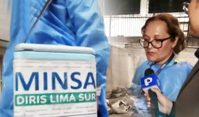 Brigadas del Minsa inmunizan a niños y adultos mayores contra el sarampión en SJM