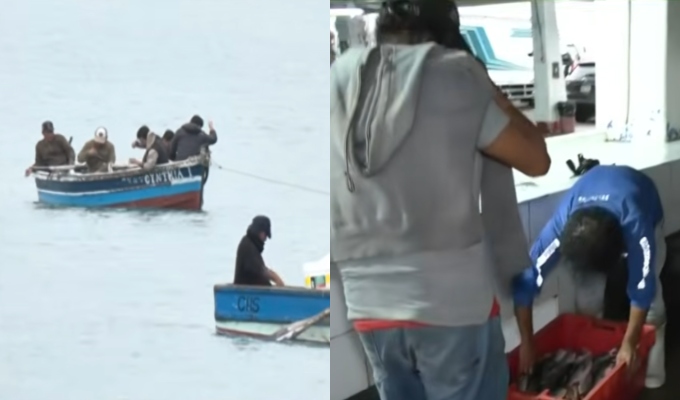 Fenómeno El Niño: pescadores artesanales viven un drama ante la escasez de peces
