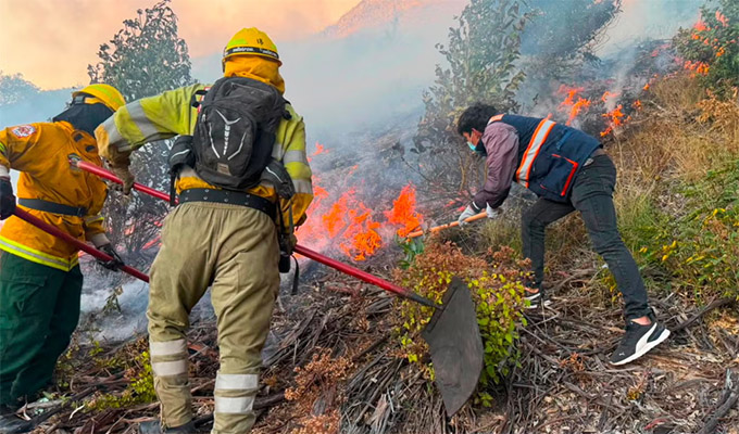 Cusco: capturan sujeto que habría provocado incendio forestal en alrededores de Sacsayhuamán