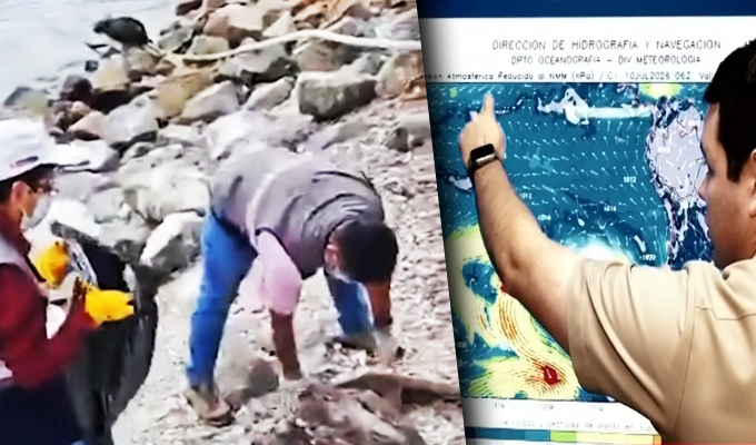 Alerta en el Perú: mueren aves marinas y crece el riesgo por el Fenómeno de El Niño