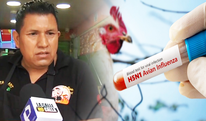 Brotes de gripe aviar: ¿Es seguro comer pollo y huevos tras alerta sanitaria?