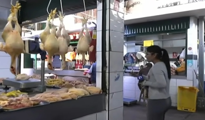 Venta de pollo cae por alerta sanitaria ante gripe aviar