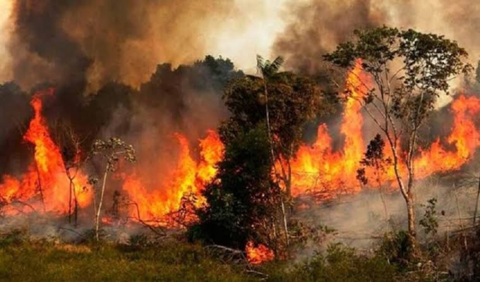 ¡Alerta en la selva! El Niño Costero podría desatar incendios en la Amazonía peruana