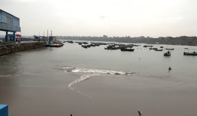 Calentamiento del mar provoca escasez de peces y afecta a pescadores artesanales en Chorrillos