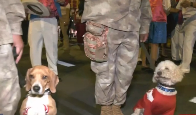 Brigada Canina deslumbra con exhibición de destrezas en la Gran Parada y Desfile Cívico-Militar