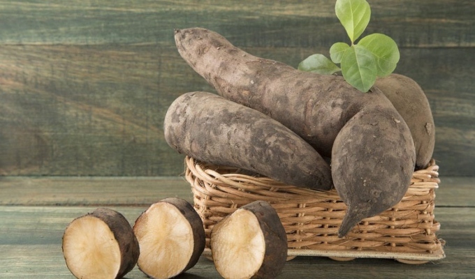 Conozca los beneficios del yacón: el superalimento de los andes