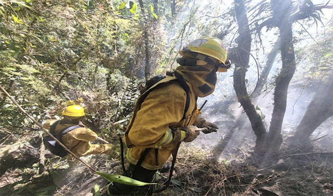 Santuario de Machu Picchu: tras varias horas de intenso trabajo controlaron incendio forestal