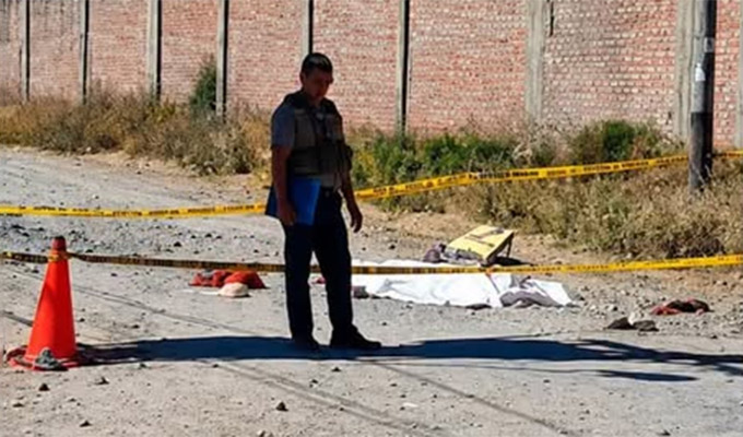 Anciana muere tras ser atacada por perros en Arequipa: sufrió mordeduras en el cuello y brazos