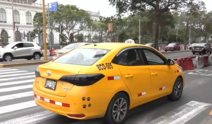 Plan piloto de carril bidireccional en la avenida Arequipa genera dudas entre conductores y pasajeros