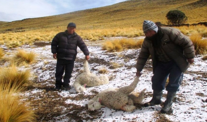 Senamhi advierte frío extremo en la sierra y calor de 34 °C en la costa de Arequipa