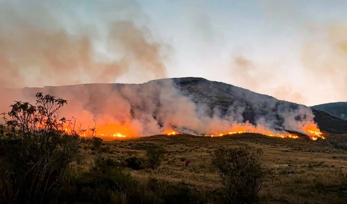 Incendios forestales causan muerte y destruyen bosques en Pasco