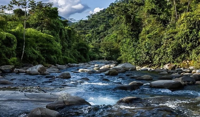 Ejecutivo establece nueva área protegida para preservar ecosistemas y recursos hídricos