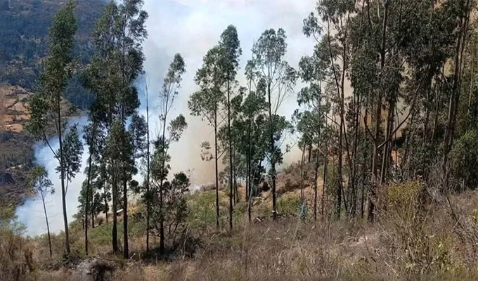 Incendio forestal en Áncash: fuego afecta viviendas y varias hectáreas de pastizales