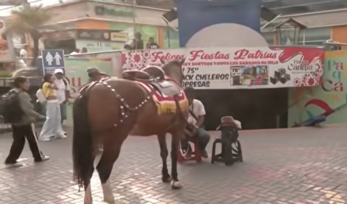 Gamarra vuelve a llenarse de comerciantes y hasta llevan un caballo y dos vicuñas