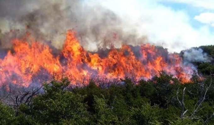 Incendios forestales golpean Cusco: dos personas murieron y 1 500 hectáreas fueron afectadas