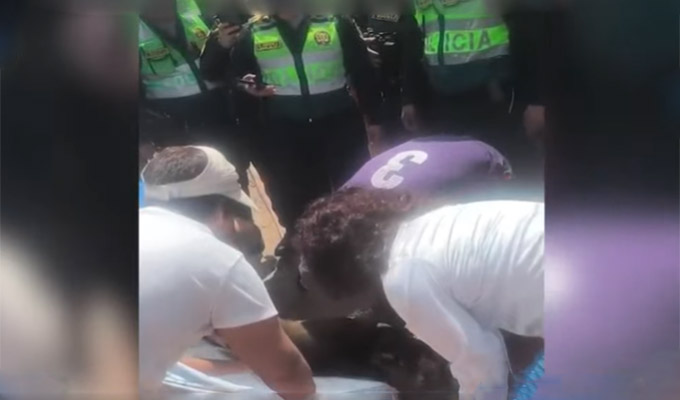 Independencia: denuncian que personal trainer mató a palazos a un perro porque le ladró