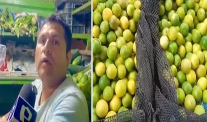 Fenómeno El Niño en Piura: ¿el limón podría escasear el próximo año?