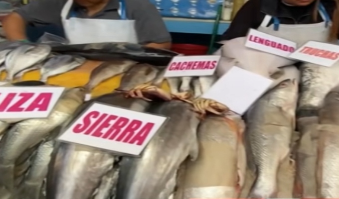 Fenómeno El Niño genera llegada de nuevas especies de pescado al Callao