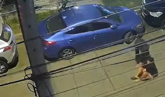 Ate: vecinos denuncian constantes robos tras retiro de rejas de seguridad