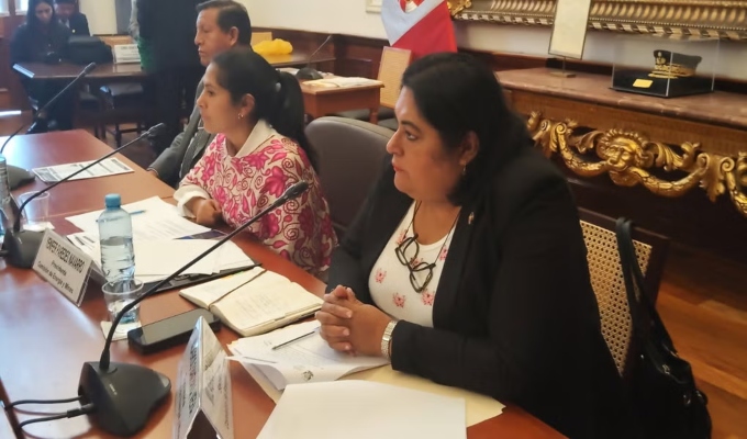 Comisión de Ética aprueba denuncia contra diputada Karina Santana por presuntas amenazas a fiscalizadora