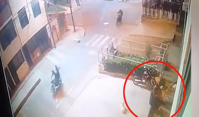Ataque armado en Los Olivos: delincuentes balean a mujer y matan a su mascota