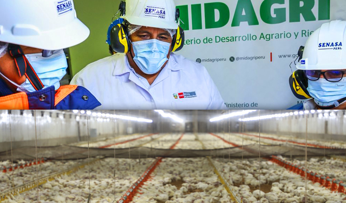 MIDAGRI: Perú fortalece su sanidad agropecuaria y abre nuevas oportunidades comerciales