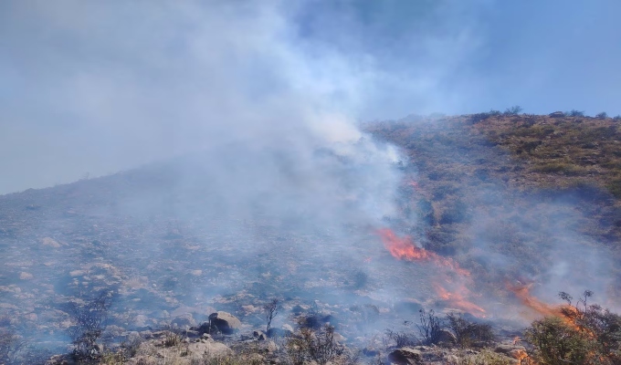 Arequipa: incendio forestal alarma a pobladores de Pocsi