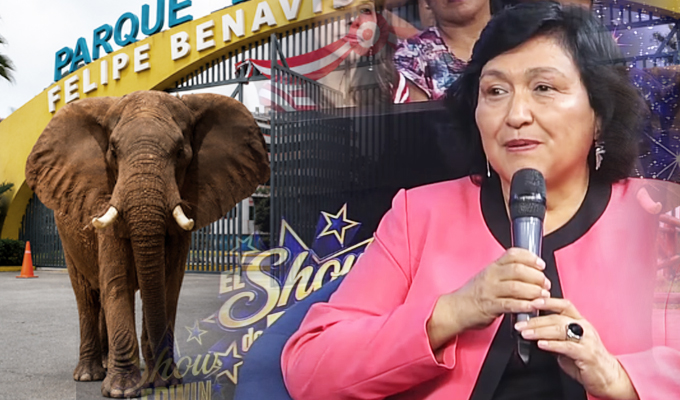 Parque de las Leyendas anuncia llegada de dos elefantes y nueva megaveterinaria para mascotas