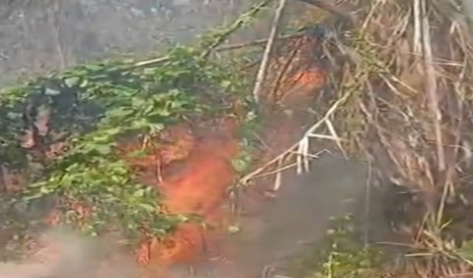 En cinco regiones incendios forestales arrasan cultivos y viviendas