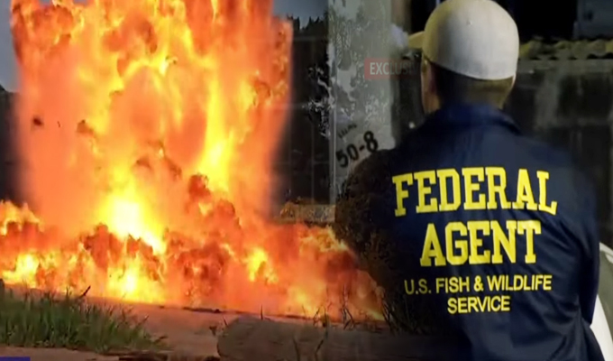 “Los Lobos” y la fiebre por el oro: policías federales de Trump participan en operativo contra minería ilegal
