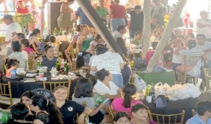 Pánico en San Martín: abejas atacan a decenas de personas durante un evento musical