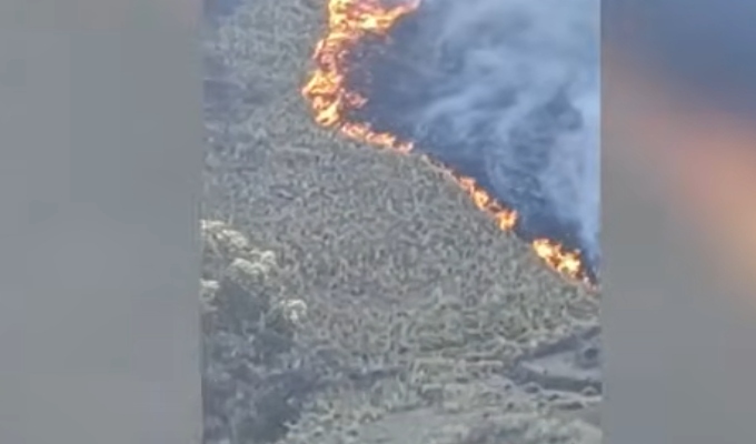 Puno: incendios forestales afectan más de mil hectáreas de pastizales y dejan viviendas dañadas