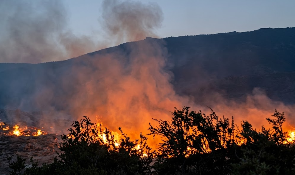 Cusco: incendio forestal arrasa más de 600 hectáreas de pastizales