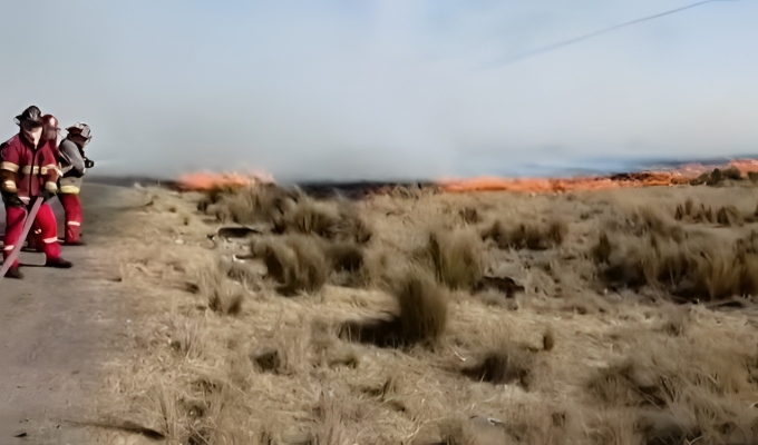 Incendios forestales en Puno arrasan con miles de hectáreas y dejan varias viviendas afectadas
