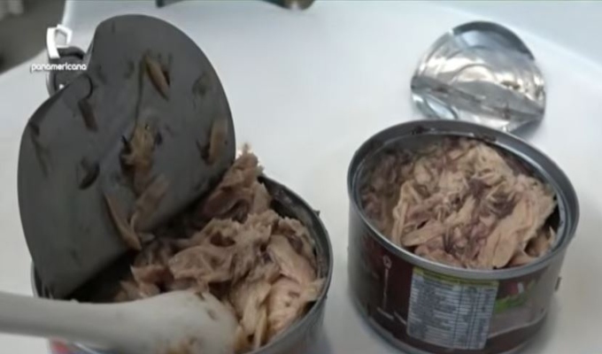 Cajamarca: Denuncian presencia de larvas en latas de atún para escolares