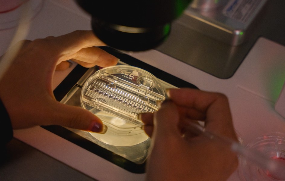 Fertilidad en pareja: por qué evaluar al varón desde la primera consulta es clave para lograr el embarazo