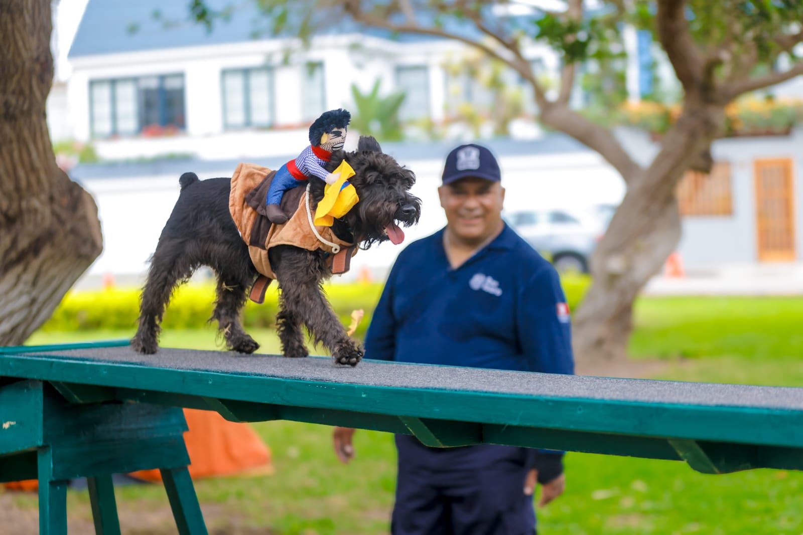 Halloween de cuatro patas: Aprende a entrenar a tu mascota gratis todos los sábados