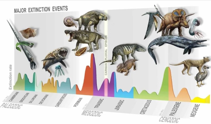 Sexta extinción masiva de la Tierra: ¿por qué amenaza la supervivencia humana?