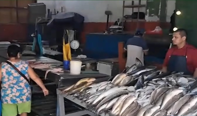 Precio del pescado sube hasta en un 60 % en mercados de Tumbes por el fenómeno El Niño