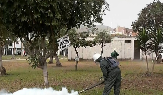 San Martín de Porres: realizan jornada de fumigación tras incremento de casos de dengue