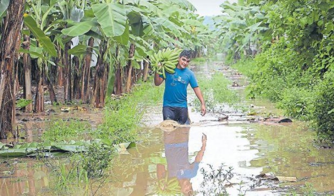Agricultores de Tumbes alistan protesta por falta de prevención ante posibles inundaciones