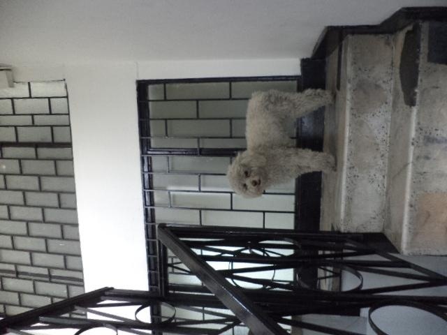 Casa de 5 alcobas en venta en Los Alcazares, Bogotá, 820 m² · foto 12 de 24