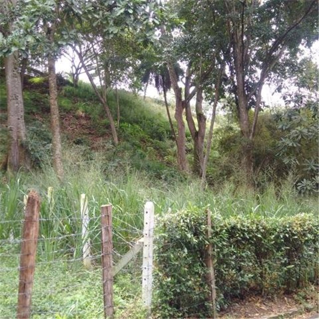 Lote en venta en Terrazas, Bucaramanga, 3450 m² · foto 5 de 8