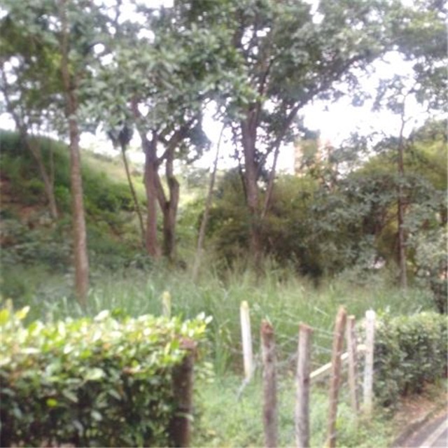 Lote en venta en Terrazas, Bucaramanga, 3450 m² · foto 4 de 8