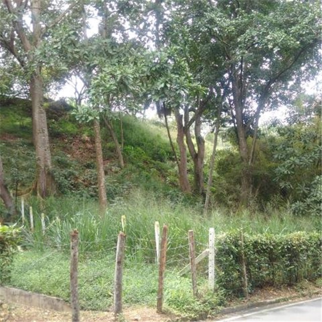 Lote en venta en Terrazas, Bucaramanga, 3450 m² · foto 8 de 8