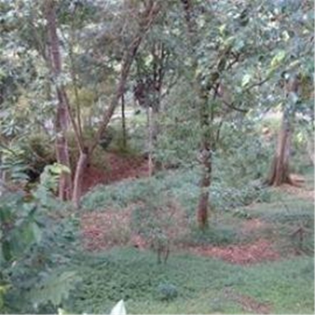 Lote en venta en Terrazas, Bucaramanga, 3450 m² · foto 7 de 8