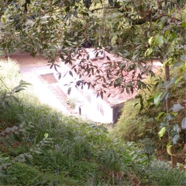 Lote en venta en Terrazas, Bucaramanga, 3450 m² · foto 2 de 8