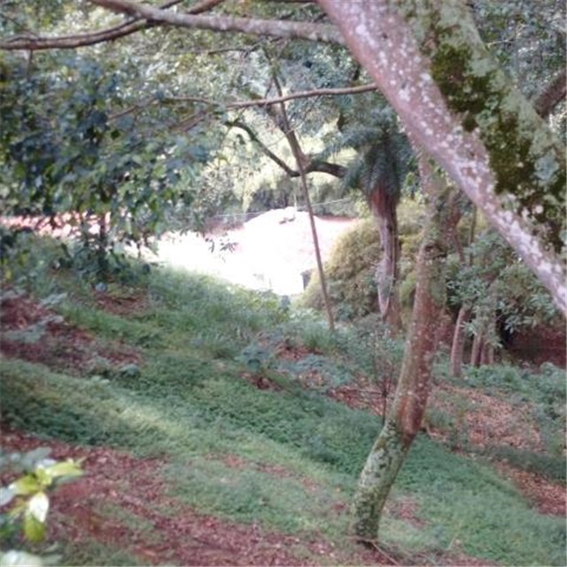 Lote en venta en Terrazas, Bucaramanga, 3450 m² · foto 6 de 8